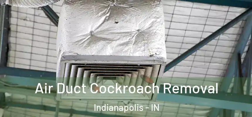 Air Duct Cockroach Removal Indianapolis - IN