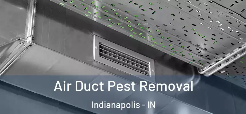 Air Duct Pest Removal Indianapolis - IN