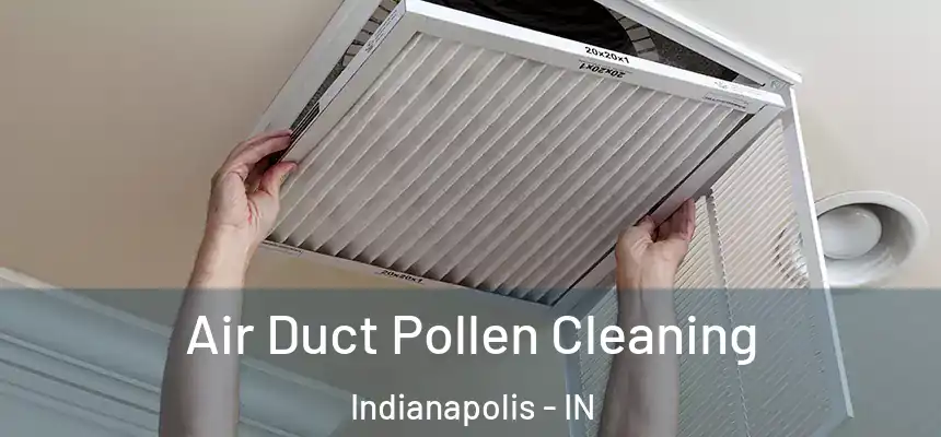 Air Duct Pollen Cleaning Indianapolis - IN