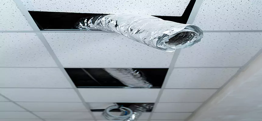 Affordable HVAC Sanitizing After Pest Removal in Indianapolis