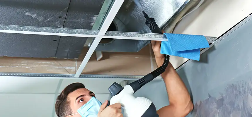 Our Air Duct Rodent Removal Services in Indianapolis, IN