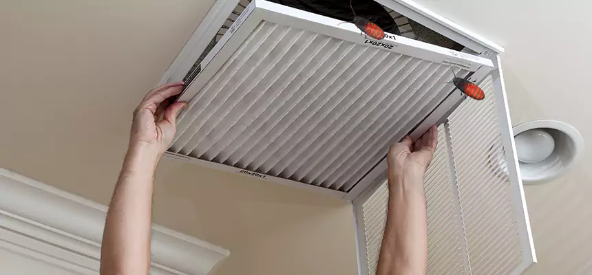 Our Insect Removal from Air Ducts Services in Indianapolis, IN