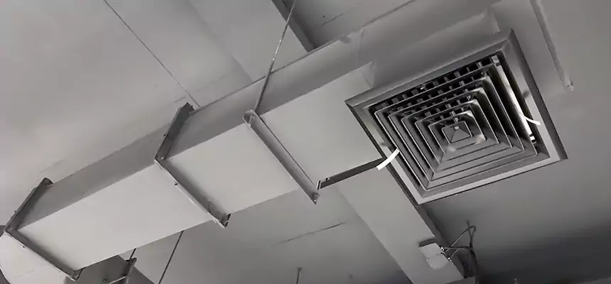 Our Pest Removal From Ducts Services in Indianapolis, IN