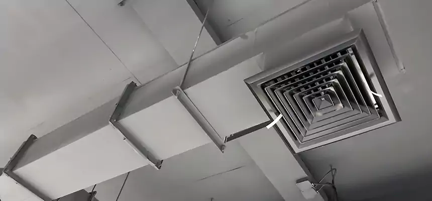 Our Rodent Droppings In Vents Services in Indianapolis, IN