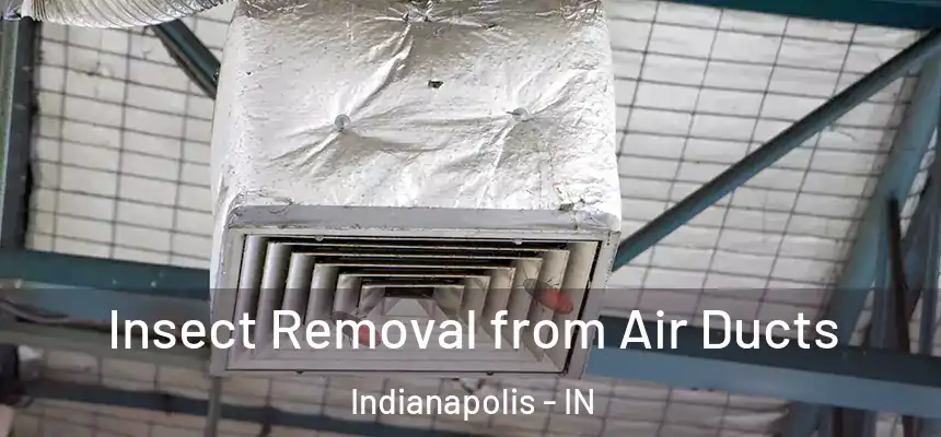 Insect Removal from Air Ducts Indianapolis - IN