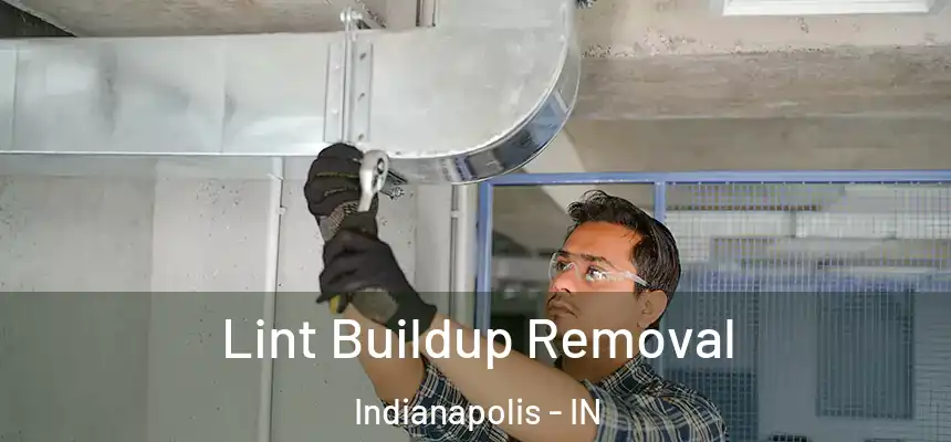 Lint Buildup Removal Indianapolis - IN