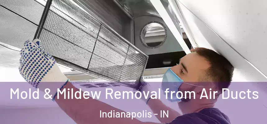 Mold & Mildew Removal from Air Ducts Indianapolis - IN