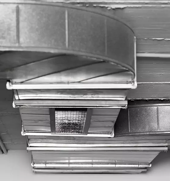 Professional Air Duct Pest Removal in Indianapolis, IN