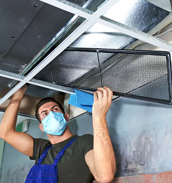 Professional Air Duct Pollen Cleaning in Indianapolis, IN