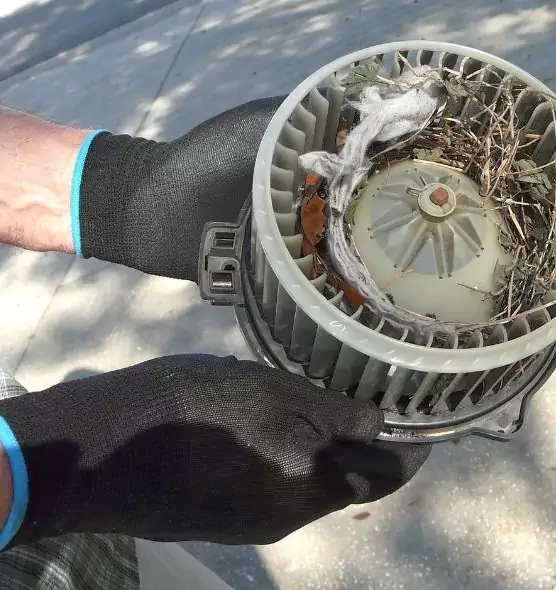 About Air Duct Rat Removal in Indianapolis, IN