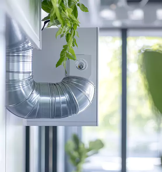 Professional Eco-Safe Dryer Vent Cleaning in Indianapolis, IN