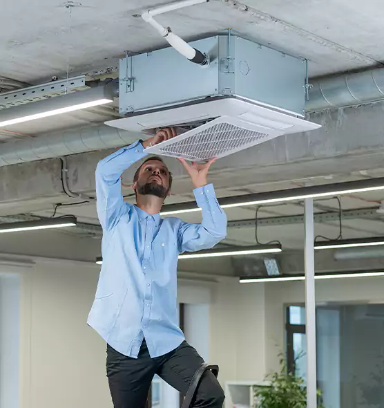 Advanced Rodent Droppings In Vents in Indianapolis, IN