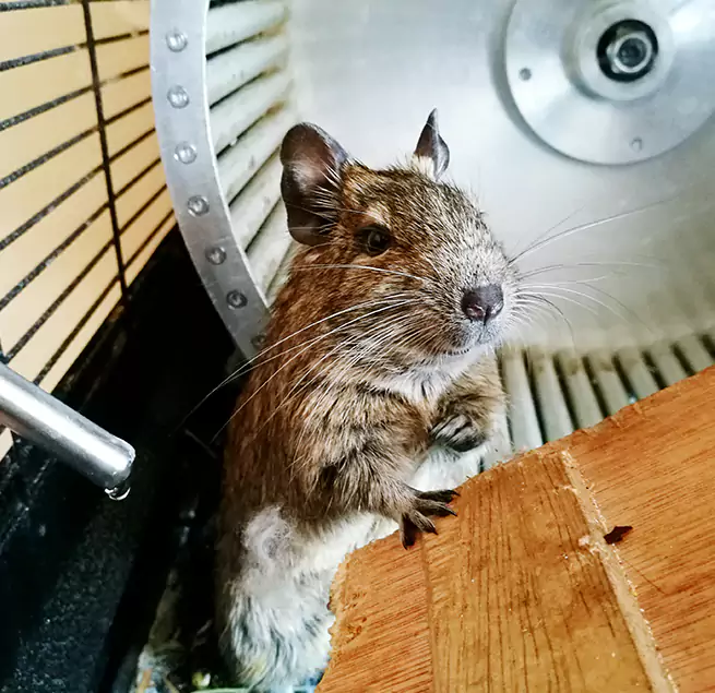 Why Homeowners & Businesses Trust Us Indianapolis, IN?