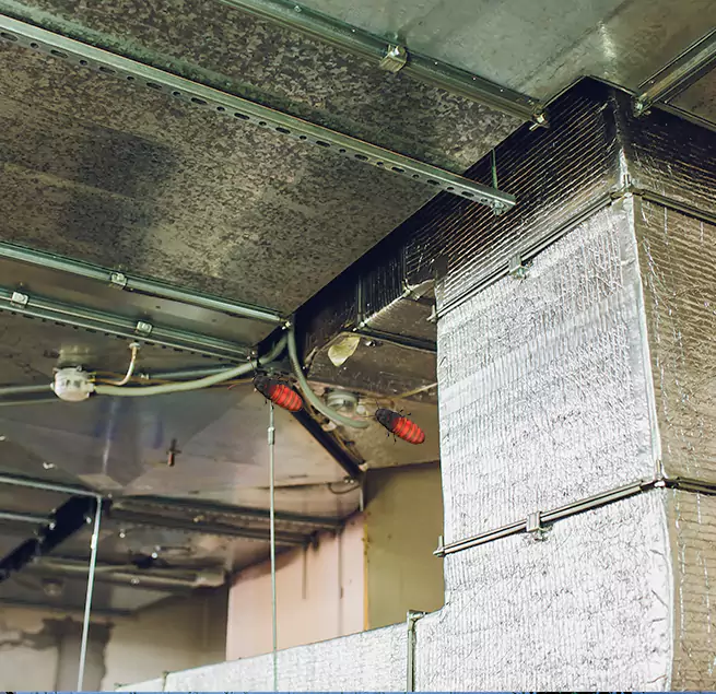 Why Homeowners & Businesses Trust Us Indianapolis, IN?