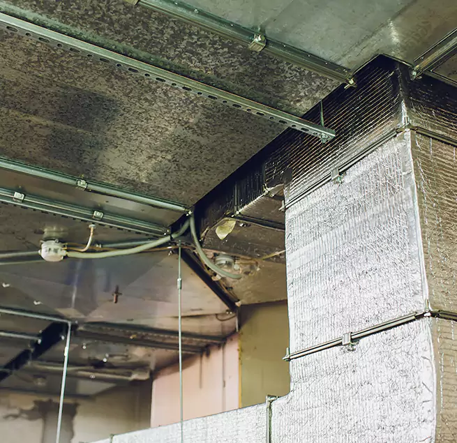 Why Homeowners & Businesses Trust Us in Indianapolis, IN?