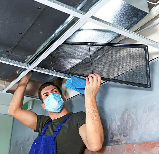 Why Homeowners Businesses Trust Us in Indianapolis, IN?